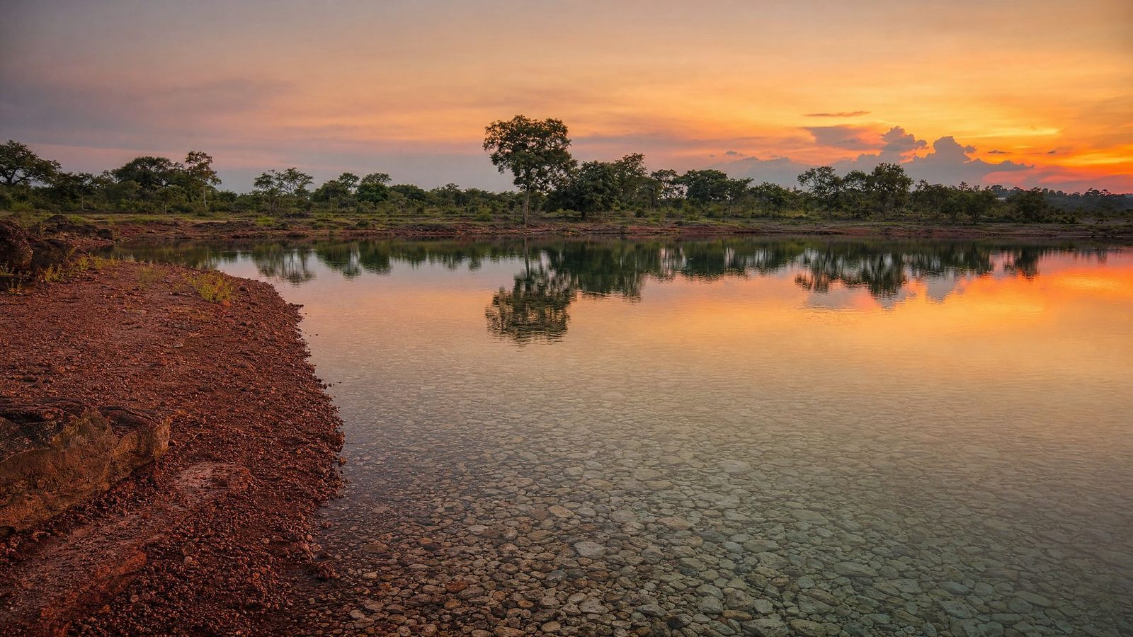Reservoir with trees at dusk